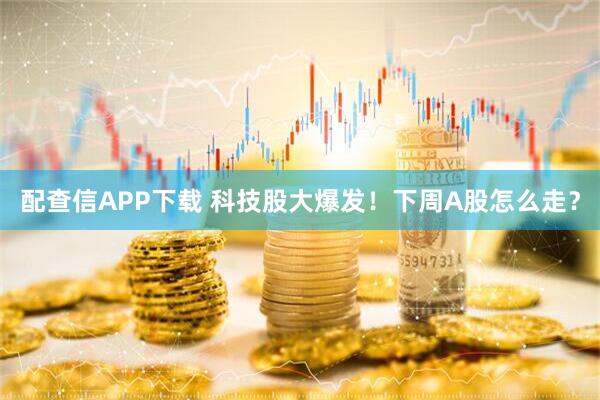 配查信APP下载 科技股大爆发！下周A股怎么走？