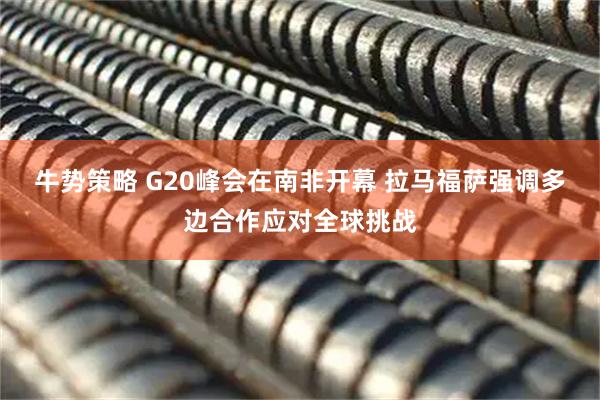 牛势策略 G20峰会在南非开幕 拉马福萨强调多边合作应对全球挑战