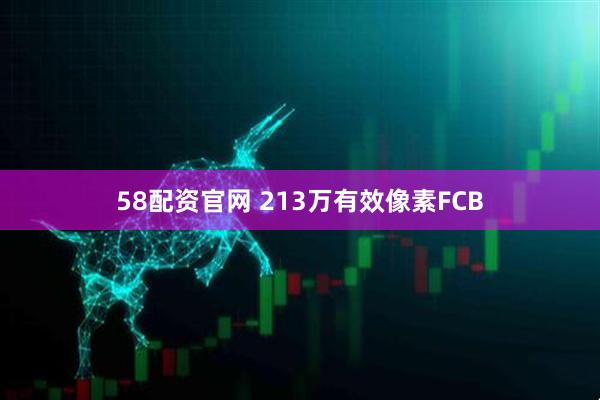 58配资官网 213万有效像素FCB