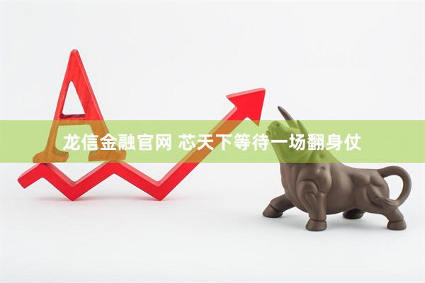 龙信金融官网 芯天下等待一场翻身仗