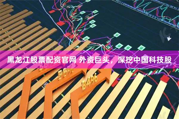 黑龙江股票配资官网 外资巨头，深挖中国科技股