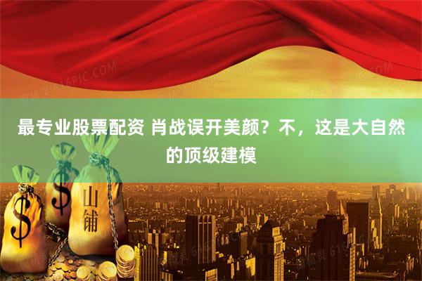 最专业股票配资 肖战误开美颜？不，这是大自然的顶级建模