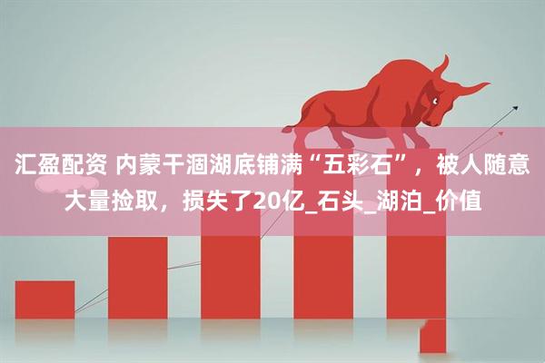 汇盈配资 内蒙干涸湖底铺满“五彩石”，被人随意大量捡取，损失了20亿_石头_湖泊_价值