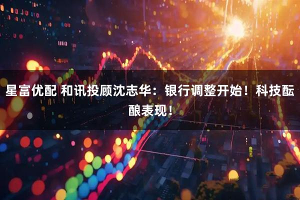 星富优配 和讯投顾沈志华：银行调整开始！科技酝酿表现！